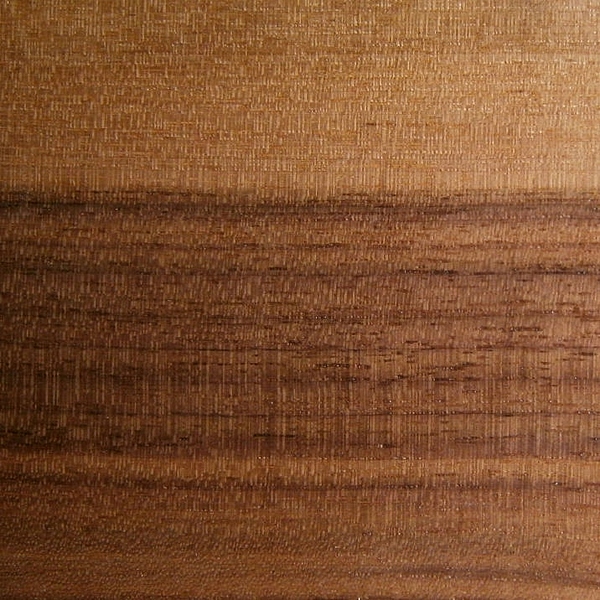 Holzmuster Nussbaum natur von Hofmann GmbH