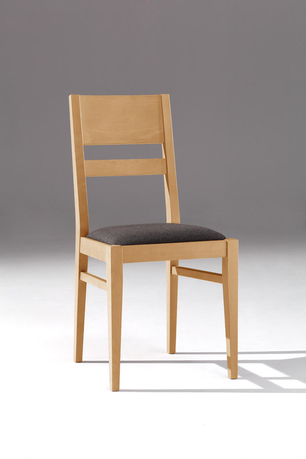 schöner Stuhl für home-and-living und Gaststätten, Vereine, Saal