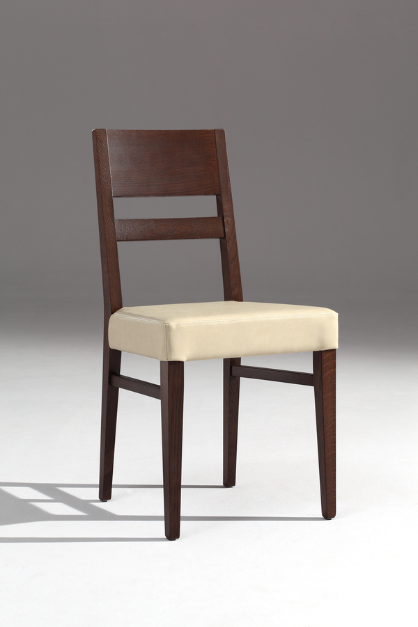 schöner Stuhl für home-and-living und Gaststätten, Vereine, Saal