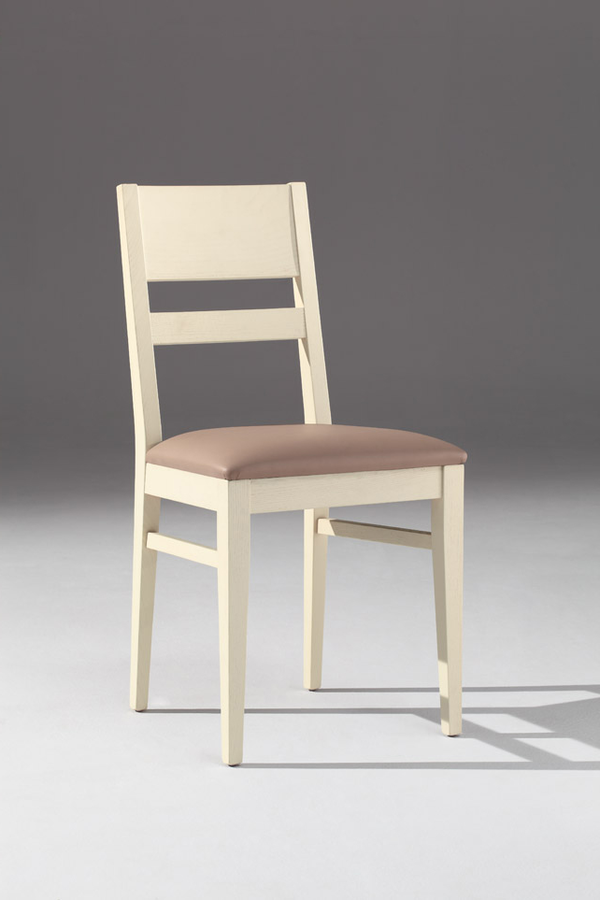 schöner Stuhl für home-and-living und Gaststätten, Vereine, Saal